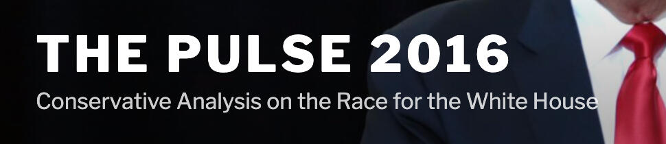 The Pulse 2016 The Pulse 2016